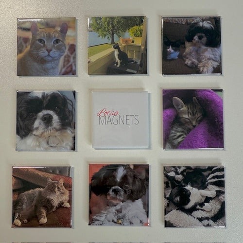 Set of 9 Handcrafted Magnets – 2"x 2"